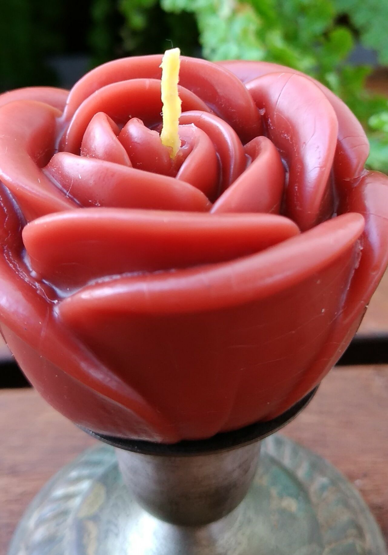 vela botão de rosa vermelha